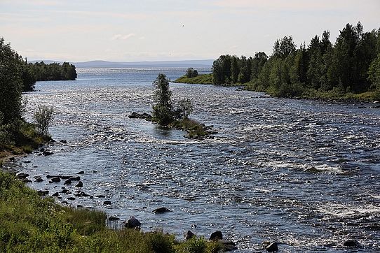 Karelia river in sunshine