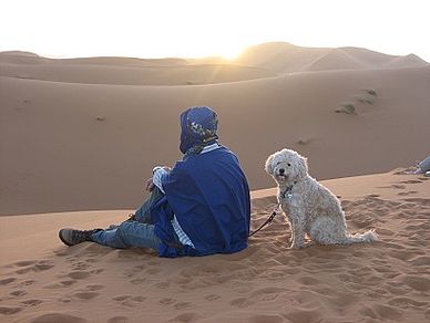 Sonnenuntergang, Mensch und Tier auf Mir Tours Reise