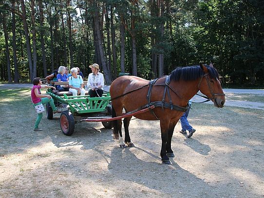 open carriage