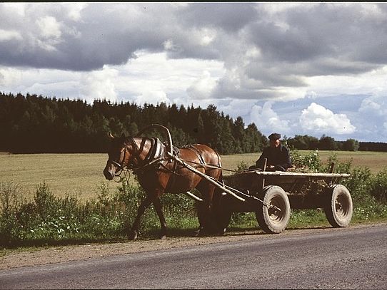 horse drawn farm carriage