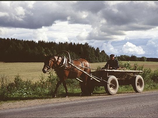 Carriage horse drawn farm carriage