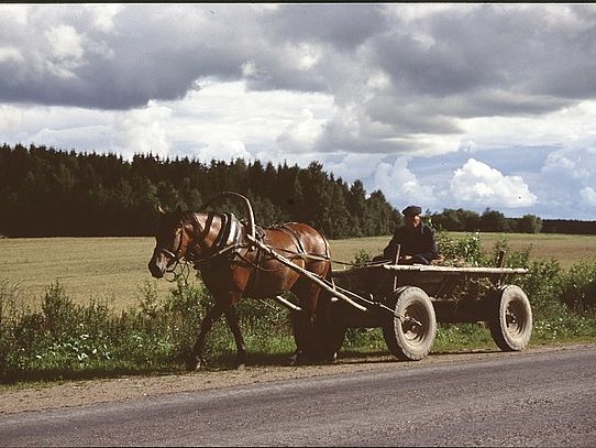 Kutsche Panjewagen