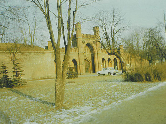 Gate in winter