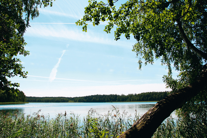 Mir Tours Route 11 - Birken und Bernstein